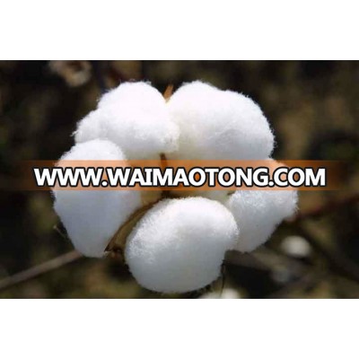 Wholesale High Quality Cheap Pakistan Raw Cotton